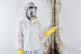 Best Mold Odor Removal Services  in South Zanesville, OH